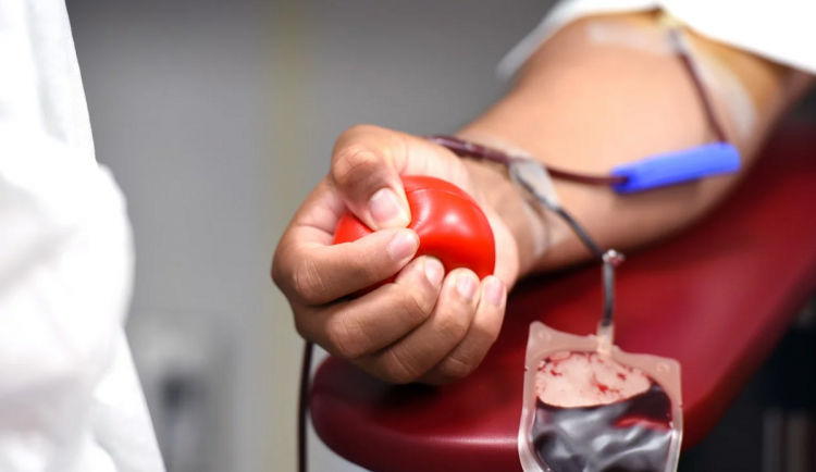 Nemocnice Plzeňského kraji loni provedly nejvíc odběrů krve za 10 let