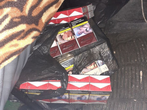 Policejní fena Ebby vyčenichala v rumunské dodávce přes 5000 nelegálně přepravovaných cigaret