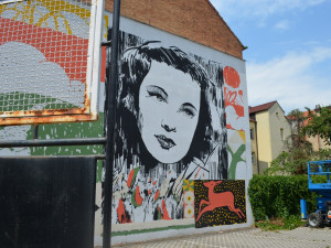 FOTO: Plzeň se díky festivalu WALLZ mění v obří umělecké plátno, podívejte se na nové street art kousky