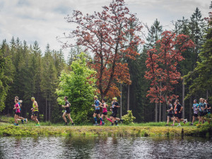 © 2021 Martin FLOUSEK, all rights reserved.