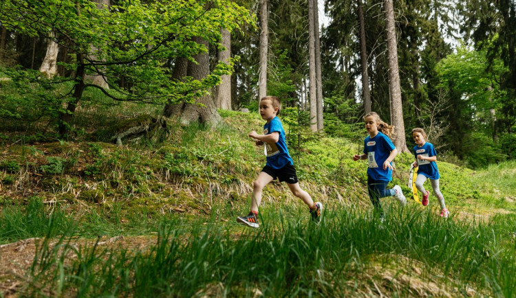 Veverkova 741/25 Praha 7