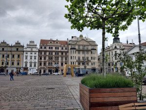 Většina Plzeňanů si přeje, aby stromy na náměstí zůstaly natrvalo, radnice se tím bude zabývat
