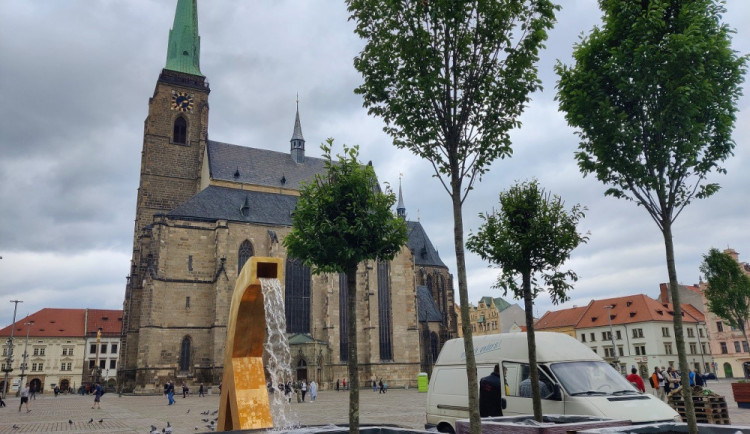 Většina Plzeňanů si přeje, aby stromy na náměstí zůstaly natrvalo, radnice se tím bude zabývat