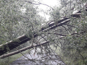 Silný vítr urval střechu rodinného domu a další poškodil, strom na kolejích zastavil také mezinárodní vlak