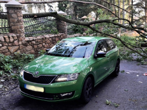 Ulomená obří větev ráno zasáhla projíždějící automobil a zranila jeho řidičku