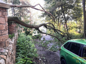 Ulomená obří větev ráno zasáhla projíždějící automobil a zranila jeho řidičku