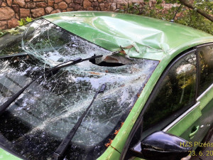 Ulomená obří větev ráno zasáhla projíždějící automobil a zranila jeho řidičku