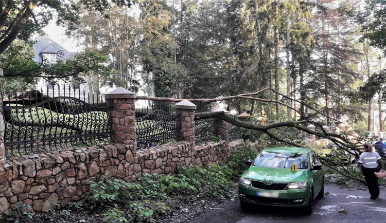 Ulomená obří větev zasáhla projíždějící automobil a zranila jeho řidičku