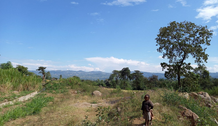 Na největším souboru studií o rohu Afriky má velký podíl také afrikanista z plzeňské univerzity