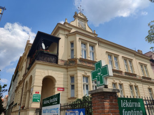 Také o výzdobu vily Rudolfa Štecha na Klatovské třídě se postaral Mikoláš Aleš