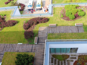 V roce 2019 bodovala v soutěži o nejlepší zelenou střechu Fakultní nemocnice Plzeň, získala cenu veřejnosti, foto: FN Plzeň