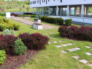 V roce 2019 bodovala v soutěži o nejlepší zelenou střechu Fakultní nemocnice Plzeň, získala cenu veřejnosti, foto: FN Plzeň