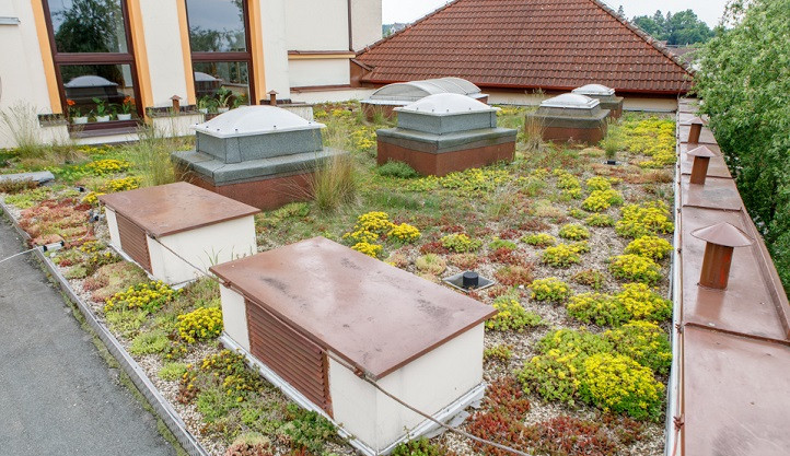 Zelené střechy jsou čím dál populárnější, díky grantové výzvě na ně mohou získat dotace také školy a školky