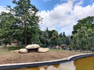 Zoologická zahrada po 20 letech přebudovala výběh pro lvy berberské, mají více prostoru