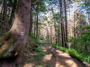 foto: Štěpán Rosenkranz