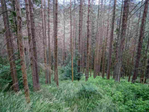 foto: Štěpán Rosenkranz