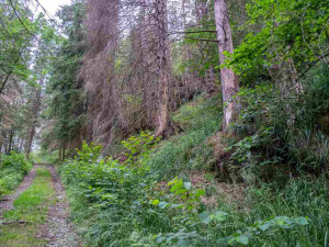 foto: Štěpán Rosenkranz