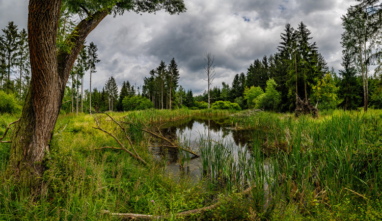 Revitalizace vodního systému u Karlova nedaleko Spáleného Poříčí na jižním Plzeňsku, foto: fanousfoto.cz