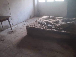 V otřesných podmínkách živořily desítky psů, díky spolkům na ochranu zvířat mají naději na normální domov