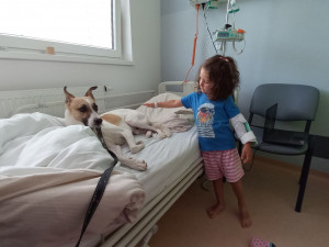 Dětské pacienty v Klatovské nemocnici potěšil knižní a filmový psí hrdina Gump