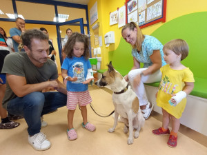 Dětské pacienty v Klatovské nemocnici potěšila psí celebrita Gump