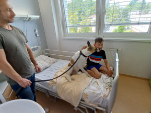 Dětské pacienty v Klatovské nemocnici potěšil knižní a filmový psí hrdina Gump