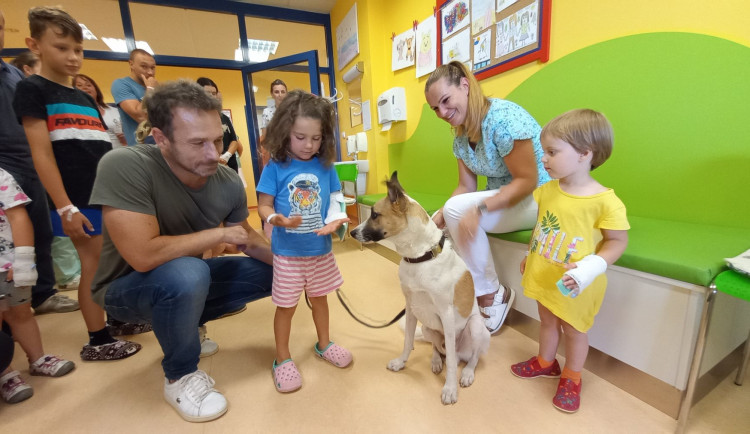 Dětské pacienty v Klatovské nemocnici potěšil knižní a filmový psí hrdina Gump