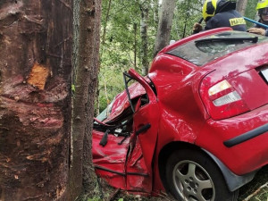 Řidič nepřežil náraz do stromu, při tragické nehodě neohroženě pomáhali záchranářům i stateční svědci události