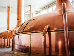 Budějovický Budvar je doma v jižních Čechách, ale slavný je po celém světě