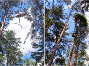 Dvojice armádních výsadkářů zůstala uvězněná v korunách stromů, pomoci jim museli lezečtí záchranáři