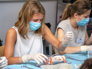 Studenti medicíny mají jedinečnou možnost vyzkoušet si své dovednosti v praxi, operují prasata domácí