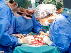 Studenti medicíny mají jedinečnou možnost vyzkoušet si své dovednosti v praxi, operují prasata domácí