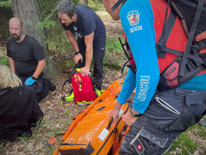 Pátrací akce po ztracené ukrajinské ženě