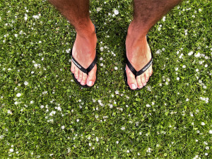 Krupobití zasáhlo část jižního Plzeňska, z nebe padaly kroupy o velikosti dvou centimetrů