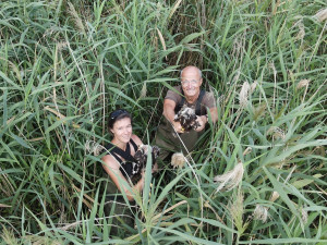 Mláďata dravců dostala kroužky, některá dostala i vysílačku