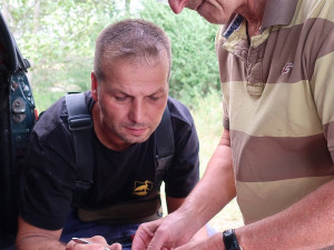 Připevňování vysílačky na záda mladého dravce