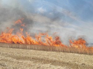 Požár pole u Nedražic