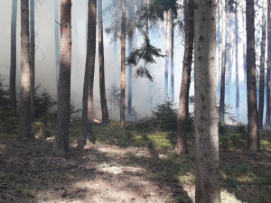 Požár lesa u obce Blížejov na Domažlicku