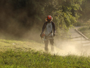 Péči o zahradu se věnuje celý tým pracovníků, které chování návštěvníků velmi mrzí