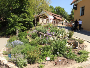 Péči o zahradu se věnuje celý tým pracovníků, které chování návštěvníků velmi mrzí