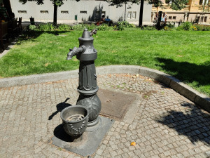 Pítka nabízí v parných letních dnech kýžené osvěžení, jsou nenápadná a najdete je hlavně v sadovém okruhu