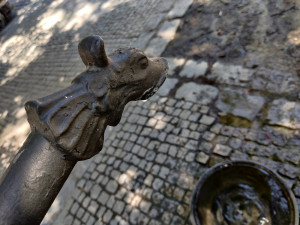 Pítka nabízí v parných letních dnech kýžené osvěžení, jsou nenápadná a najdete je hlavně v sadovém okruhu