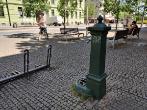 Pítka nabízí v parných letních dnech kýžené osvěžení, jsou nenápadná a najdete je hlavně v sadovém okruhu