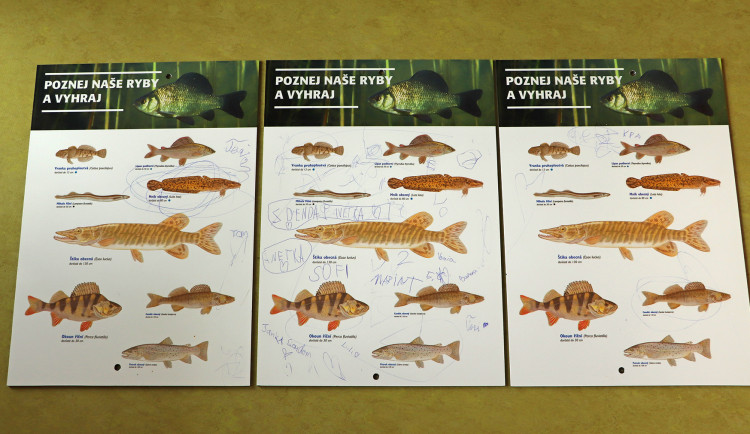 Zoo se potýká s nevychovanými návštěvníky, čmárají po cedulích i vytrhávají květiny