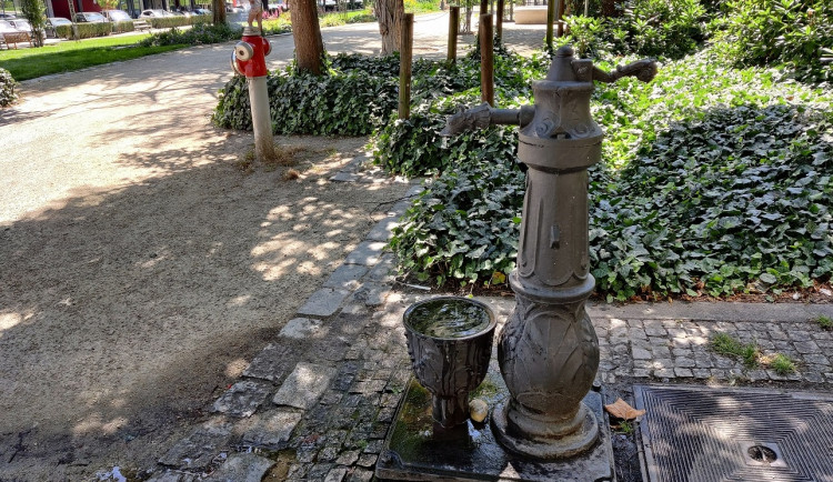 Pítka nabízí v parných letních dnech kýžené osvěžení, jsou nenápadná a najdete je hlavně v sadovém okruhu