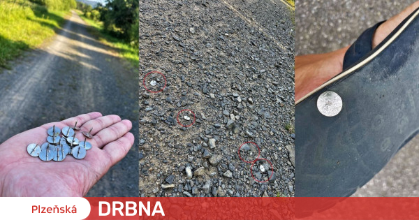 A dangerous attack, the perpetrator throws tacks on a busy umava street.  He threatens the health and lives of humans and animals News |  Pilsen Gossip