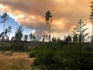 Plzeňští hasiči jeli pomoci kolegům do Hřenska v boji s obrovským požárem Národního parku České Švýcarsko
