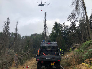 S požárem v Českém Švýcarsku bojují i desítky profesionálních a dobrovolných hasičů z Plzeňského kraje