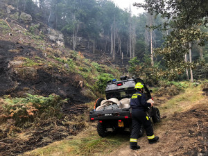 S požárem v Českém Švýcarsku bojují i desítky profesionálních a dobrovolných hasičů z Plzeňského kraje