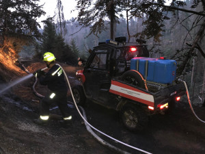 S požárem v Českém Švýcarsku bojují i desítky profesionálních a dobrovolných hasičů z Plzeňského kraje